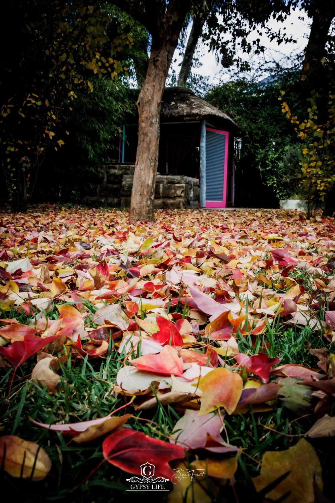 Gypsy Guest House Clarens Exterior photo